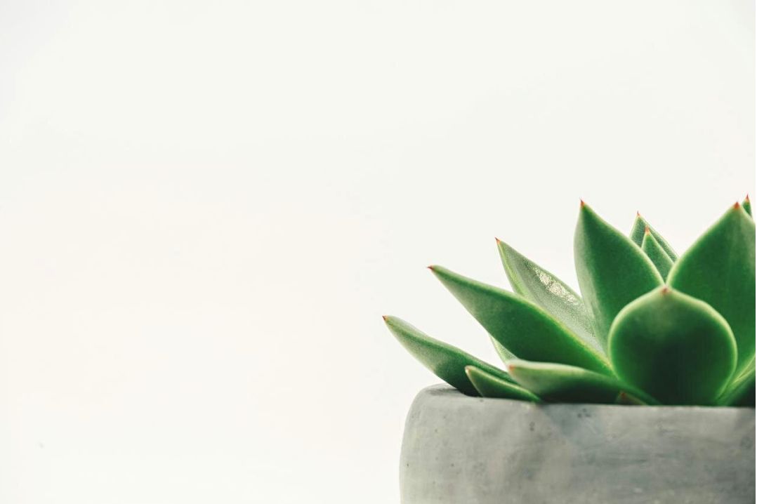 Product listing UX